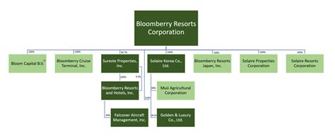 bloomberry resorts corporation company profile|Group Corporate Structure .